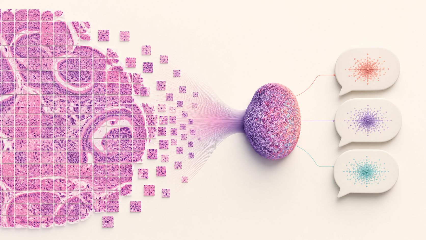 A pathologist examining a whole-slide tissue image alongside an AI diagnostic dialogue